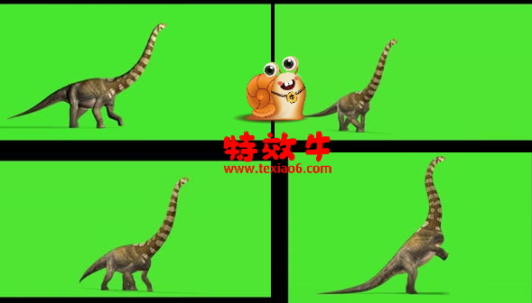 霸王龙 恐龙 动物绿幕视频