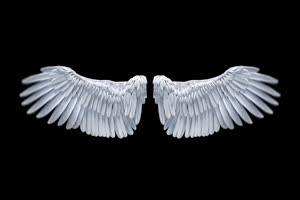 带通道 翅膀 天使翅膀 Flapping 2 特效后期素材 免手机特效图片