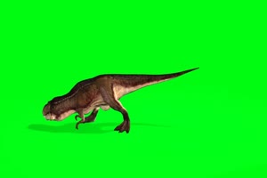 恐龙10 绿屏动物 特效视频 抠像视频 巧影ae素材手机特效图片