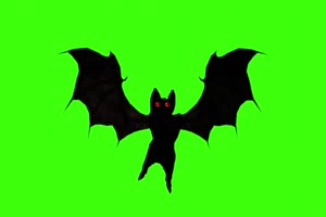 黑色蝙蝠静态飞转动眼睛 绿幕素材 抠像视频免费手机特效图片