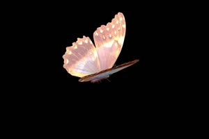 静飞的荧光碟 蝴蝶 抠像素材 特效素材手机特效图片