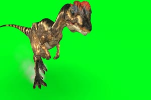 火恐龙 绿屏动物 特效视频 抠像视频 巧影ae素材手机特效图片