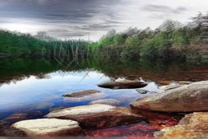 手机专用 森林 池塘 美景视频素材87手机特效图片