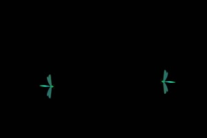 绿荧光蜻蜓 抠像视频 剪映特效素材 黑幕素材手机特效图片