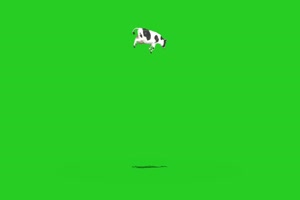 奶牛飞起来1 绿屏动物 特效视频 抠像视频 巧影手机特效图片