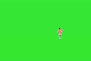 小狐狸3 绿屏动物 特效视频 抠像视频 巧影ae素材手机特效图片
