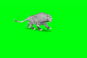 豹子呲牙豹 绿屏动物 特效视频 抠像视频 巧影手机特效图片