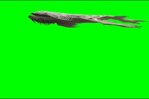 鲲 大鱼 怪物  特效牛绿屏绿布和绿幕视频抠像素材