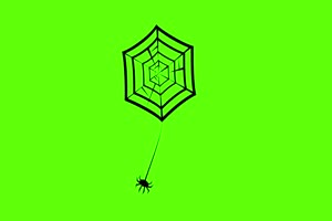 蜘蛛网 万圣节 恐怖 鬼魂 绿屏素材特效牛手机特效图片