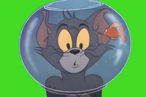 猫和老鼠汤姆和杰瑞绿幕视频素材 12免费下载手机特效图片
