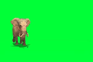 大象 绿屏动物 特效视频 抠像视频 巧影ae素材手机特效图片