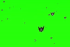 动画黑蝙蝠 绿幕素材 抠像