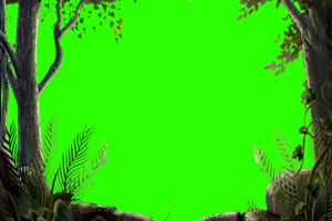 丛林 风景背景视频 绿幕视频素材手机特效图片