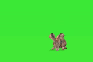 长耳朵兔子 2 绿屏动物 特效视频 抠像视频 巧影手机特效图片