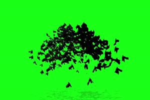 蝙蝠素材 抖音人物变成蝙蝠素材绿屏抠像抠像素手机特效图片