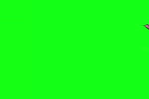 燕子 小鸟 飞鸟 绿屏素材绿布和绿幕视频抠像素材