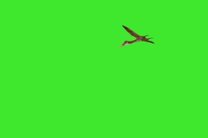 长颈鹅蝙蝠1 绿屏动物 特效视频 抠像视频 巧影手机特效图片