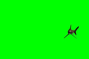 鲨鱼 游来游去 7绿屏素材 绿幕抠像素材