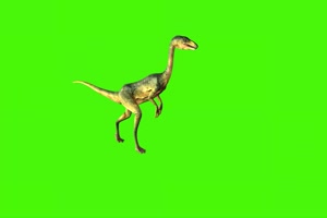 瘦小的恐龙 绿幕视频 绿幕素材 抠像视频 特效素手机特效图片