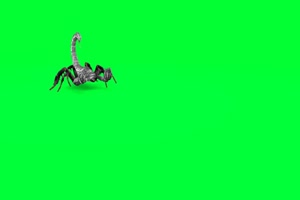 黑蝎子 绿屏动物 特效视频 抠像视频 巧影ae素材手机特效图片