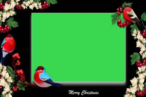 圣诞节鸟语花香相框绿屏 AE 特效 巧影素材22026手机特效图片
