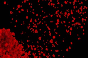 红花瓣的飘落 飘散 黑幕视频 抠像素材 特效视频手机特效图片
