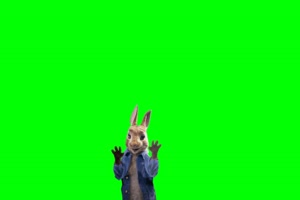 兔子 动物 Rabbit 绿屏抠像素材 巧影AE特效素材5手机特效图片