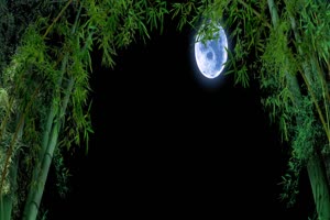 竹林月亮 背景素材 中秋节素材手机特效图片
