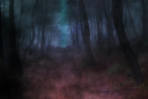 极品背景 黑暗的森林 万圣节 背景素材 特效牛网手机特效图片