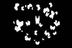 白色蝴蝶形成的桃心 蝴蝶 抠像素材 特效素材手机特效图片