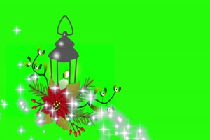 圣诞节灯花圣诞树绿屏 AE 特效 巧影素材48866482手机特效图片