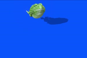 绿色蟾蜍癞蛤蟆前面 蓝幕背景 蓝幕素材 绿屏抠手机特效图片