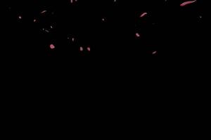 飘落的花瓣1 树叶花 黑幕背景抠像视频 广场舞手机特效图片