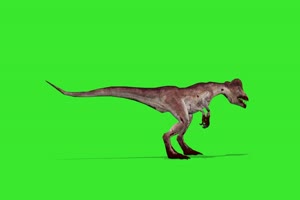 恐龙5 绿屏动物 特效视频