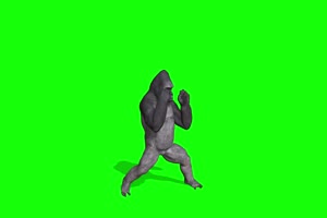 拳击大猩猩 1 绿幕抠像 绿布视频 特效抠像 剪映手机特效图片