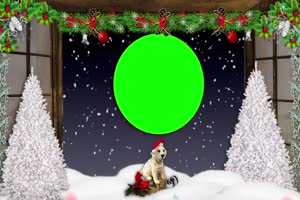 圣诞节银松雪橇狗圆相框绿屏 AE 特效 巧影素材手机特效图片