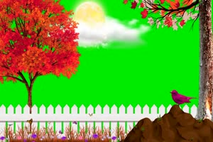 免费红树 蝴蝶 围栏 风景背景视频 绿幕视频素材手机特效图片