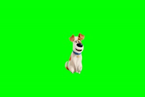 狗 狗狗 动物 绿屏抠像素材 12 免费下载