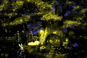 唯美森林 梦幻森林 仙境 背景视频下载23手机特效图片