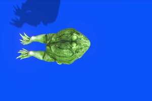 绿色蟾蜍癞蛤蟆上面 蓝幕背景 蓝幕素材 绿屏抠手机特效图片