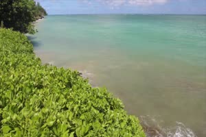免费 沙滩 大海 背景视频素材手机特效图片