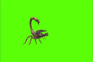 蝎子 绿幕视频素材 怪兽绿幕剪映抠像@特效牛手机特效图片