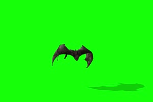 黑色蝙蝠1 动物绿屏 绿幕