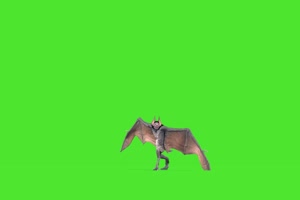 精品 吓人的蝙蝠起飞 绿幕素材 抠像视频免费下手机特效图片