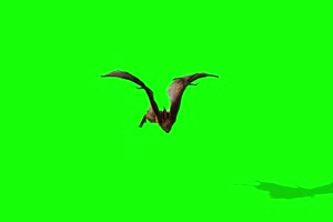 蝙蝠原地飞的3D动态 绿幕素材 抠像视频免费下载手机特效图片
