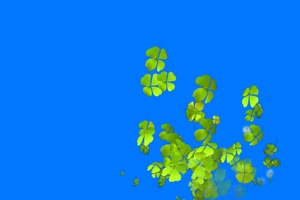 四叶草 绿屏抠像素材巧影手机特效图片