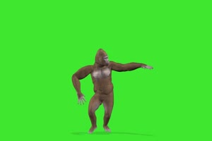 大猩猩跳舞 绿幕视频 绿幕素材 抠像视频 特效素手机特效图片