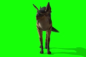 15修仙特效 一阶魔兽 鬣狗 绿幕素材手机特效图片