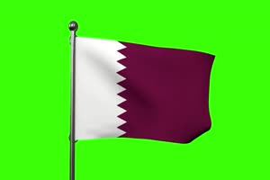 卡塔尔世界杯 24强国旗绿幕视频素材免费下载塞手机特效图片