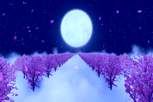 月色桃花树有音效 背景素材 中秋节素材手机特效图片